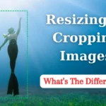 Image Resizer vs. Image Cropper: What Is the Difference?